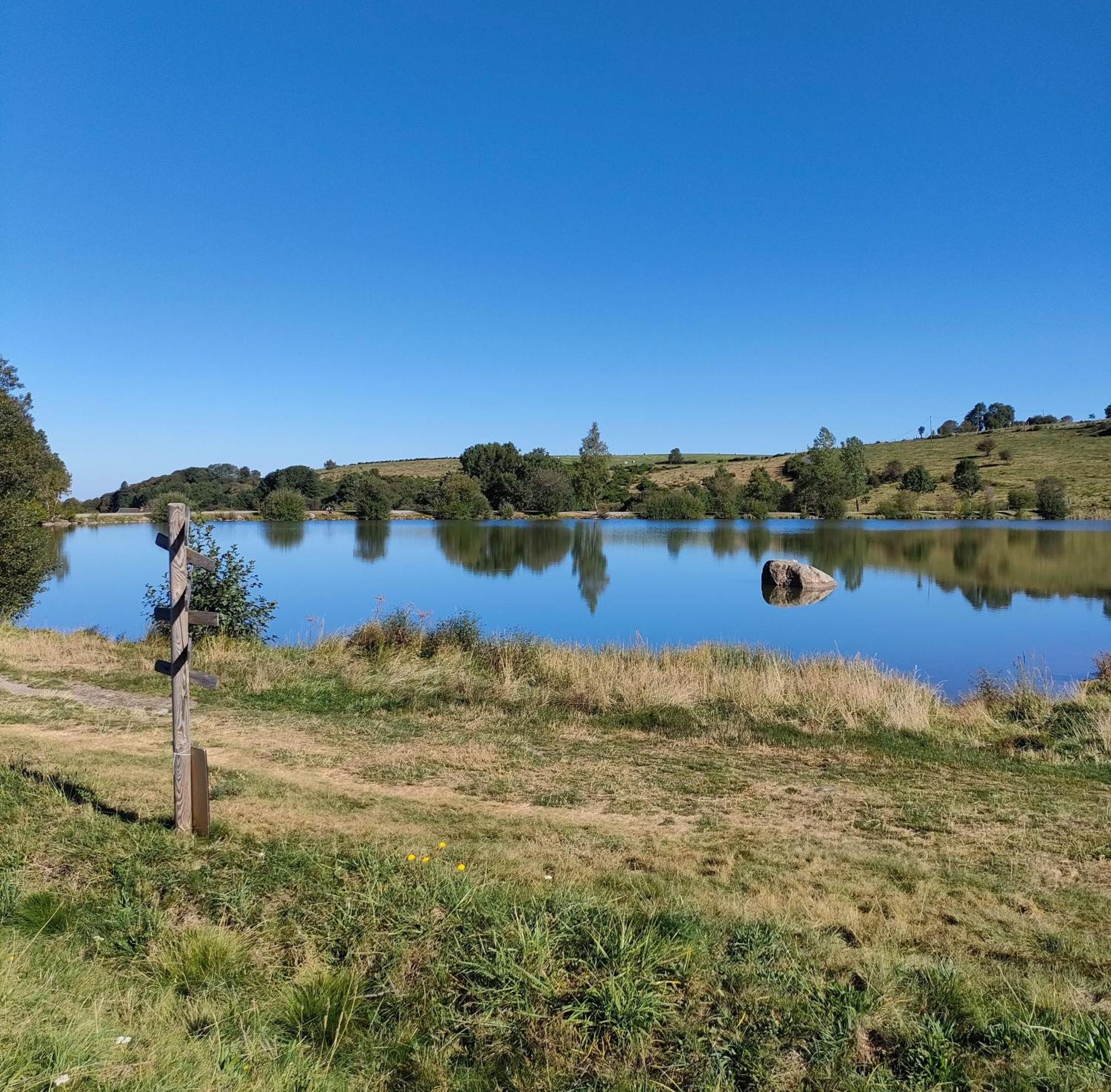 Grand Appartement Vue Magnifique Murat-le-Quaire Eksteriør bilde